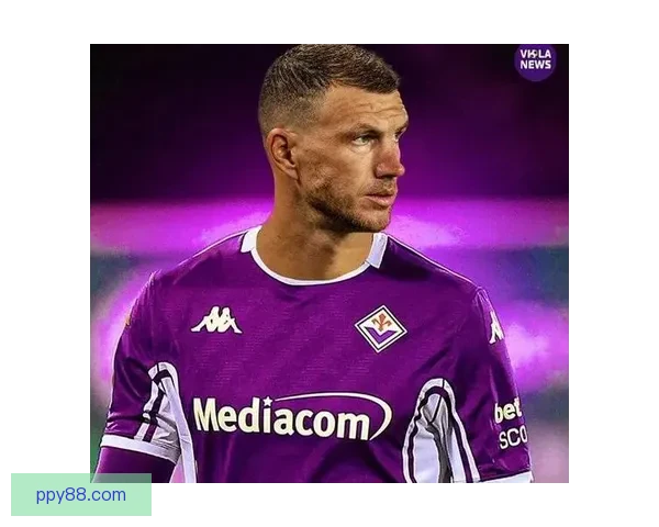 图片报称哲科加盟沙尔克04至赛季末基薪不足30万欧引热议足坛关注